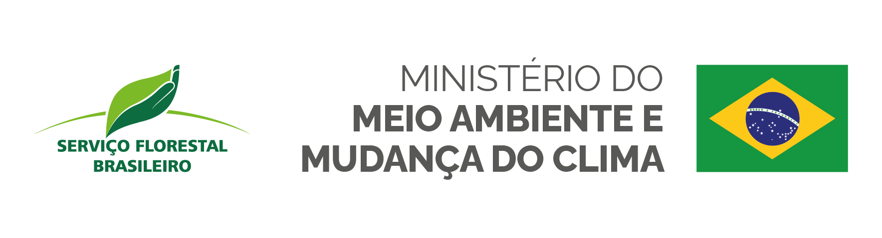 Logo 6